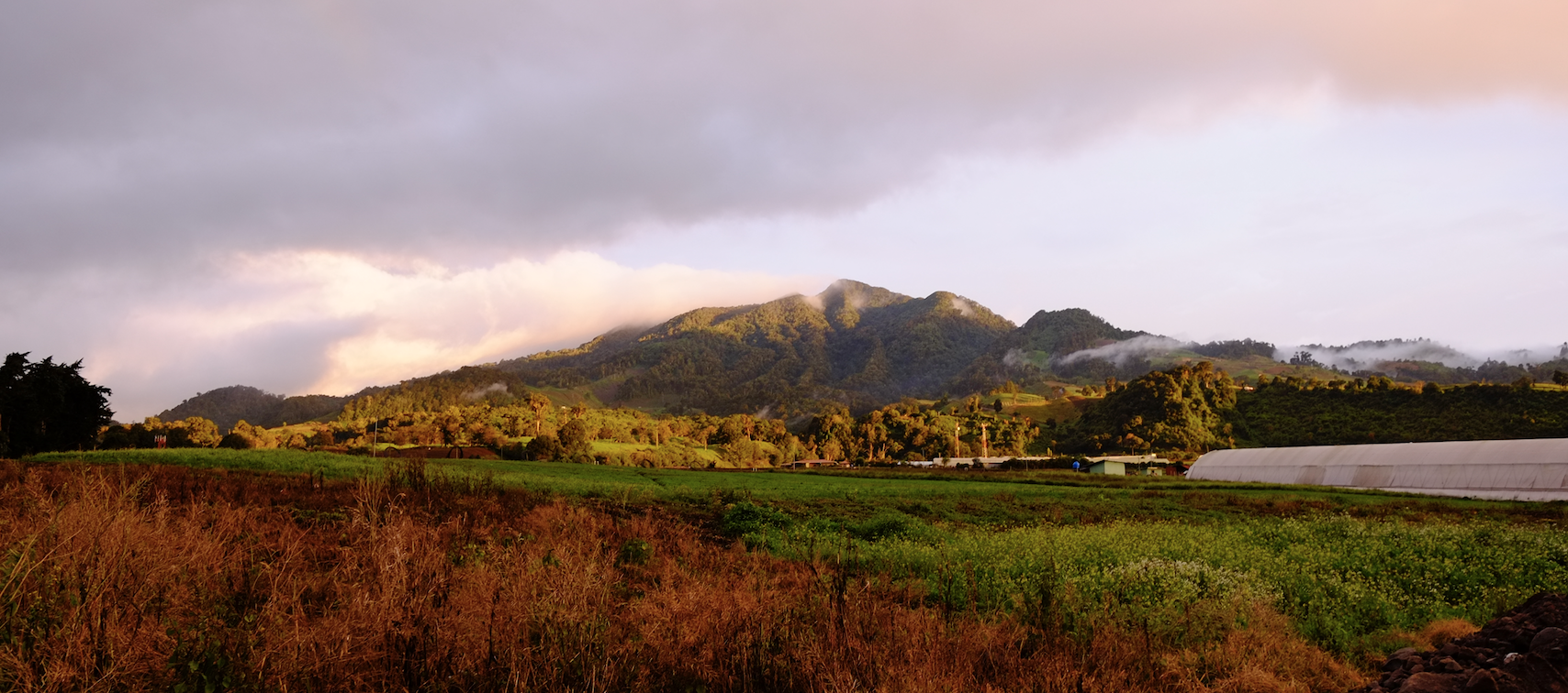 Panama landscape